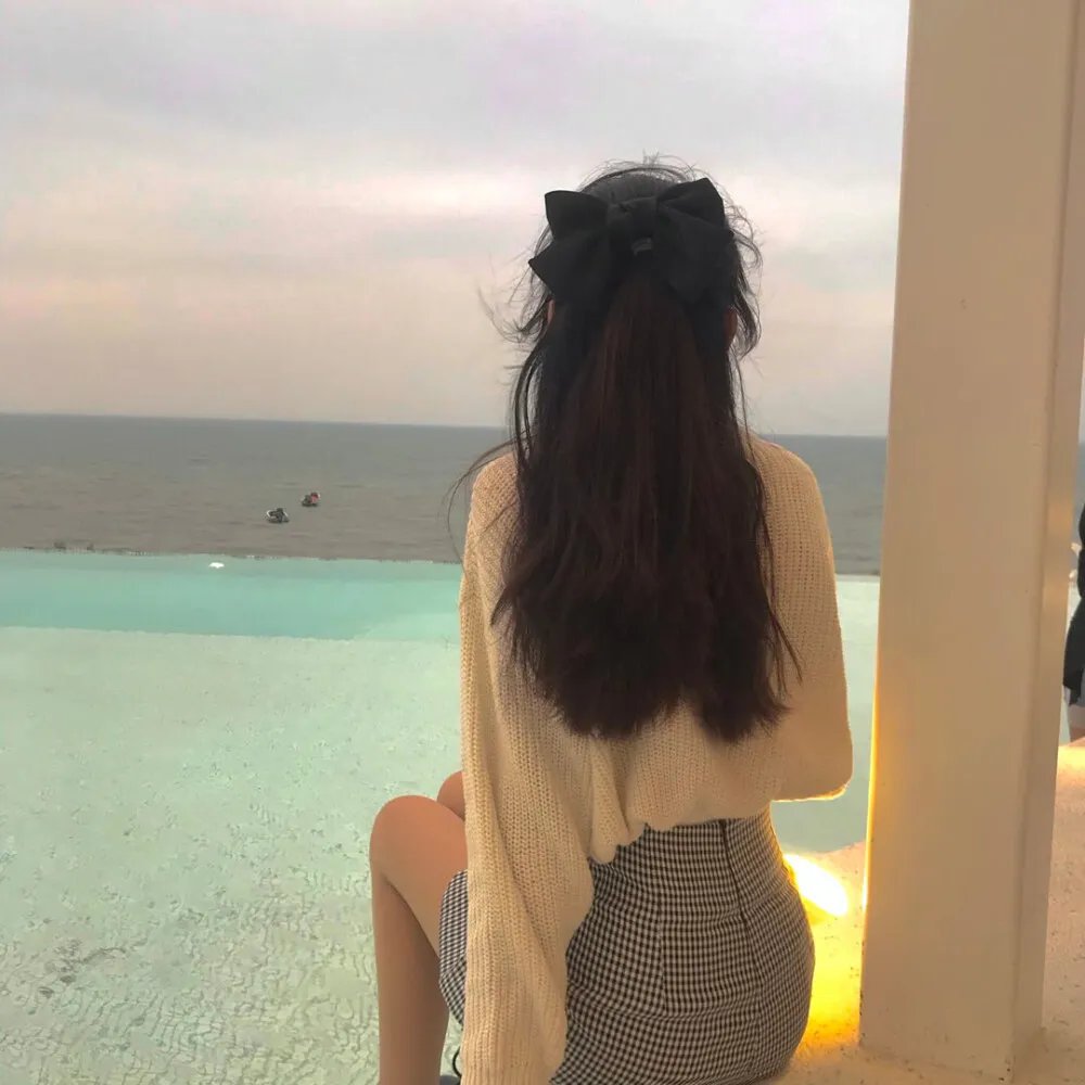 大明星丽莎